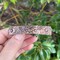 Small Copper Hair Clip with Patina'd Flower Design, Metalsmith Handcrafted and Hand-Riveted Gift for Long Hair product 1